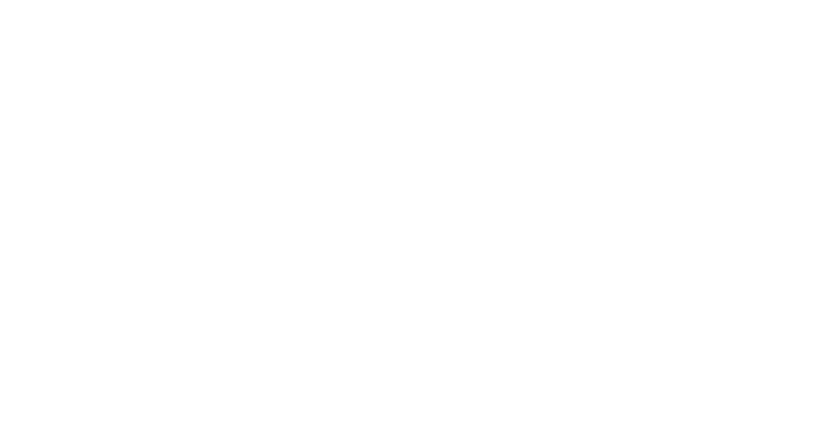 VNAS